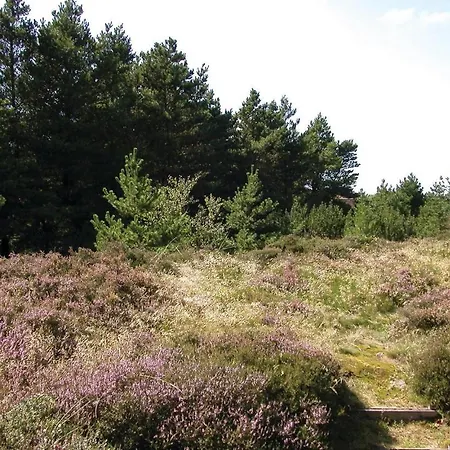 Thadesvej Romo Iv * Romo