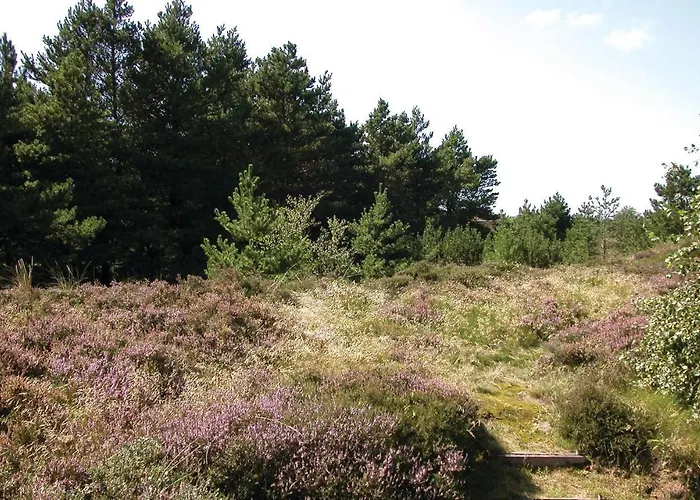 Thadesvej Iv * Romo